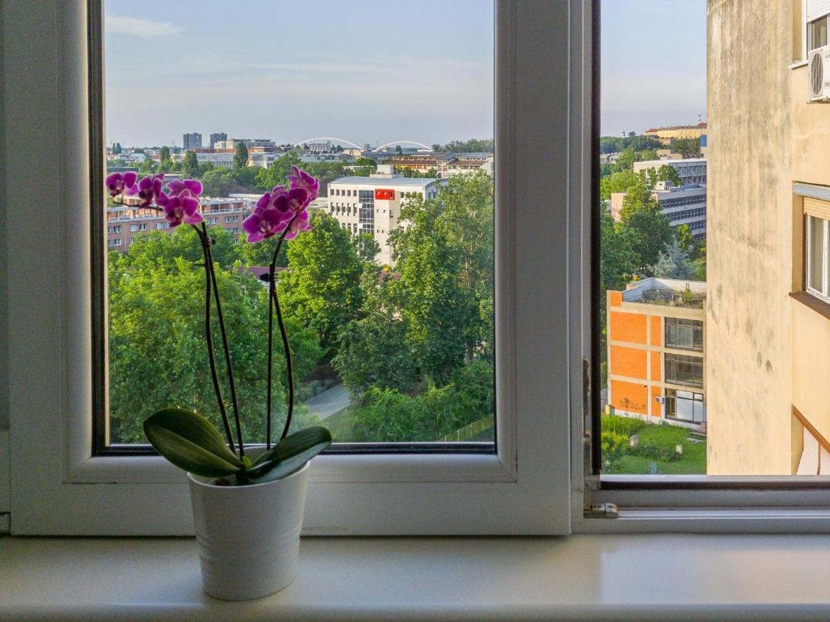 Sweet Home Danube Liman Apartment Nowy Sad Zewnętrze zdjęcie