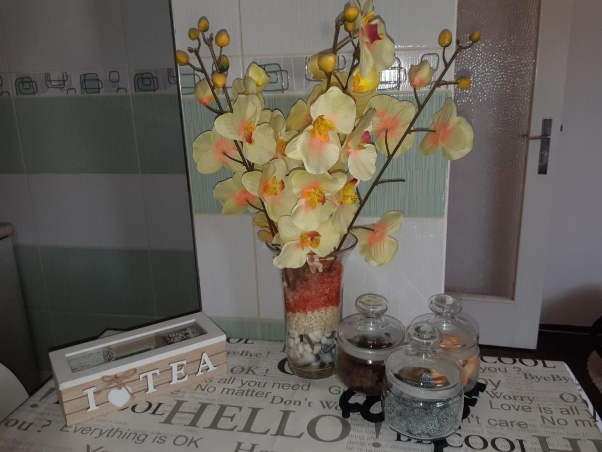 Sweet Home Danube Liman Apartment Nowy Sad Zewnętrze zdjęcie
