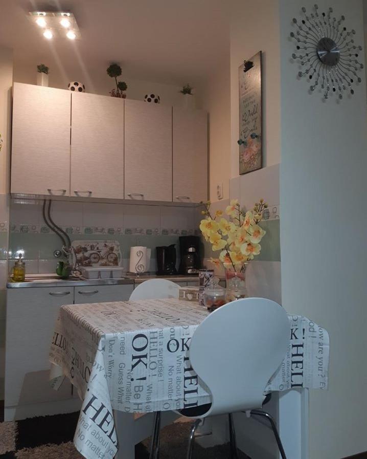 Sweet Home Danube Liman Apartment Nowy Sad Zewnętrze zdjęcie
